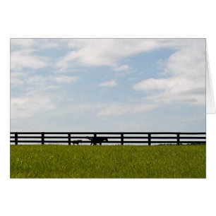 Stallion Farm Hälsningskort