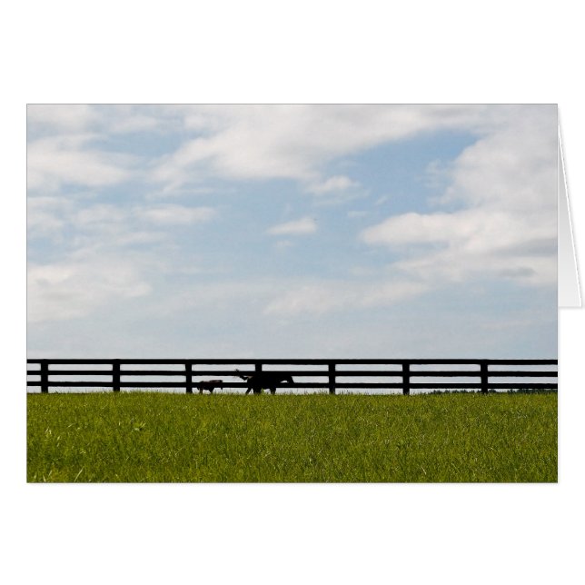Stallion Farm Hälsningskort (Framsidan Horizontal)
