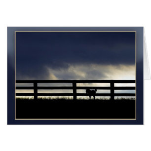 Stallion Farm Silhouette Hälsningskort