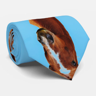 Stallion Horse print Slips
