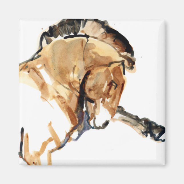 Stallion Magnet (Framsidan)