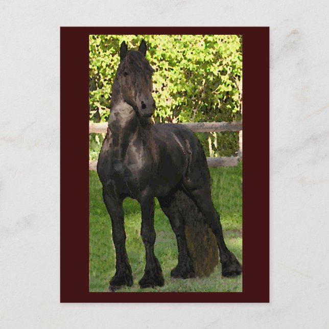 Stallion Painting-vykort Vykort (Framsida)