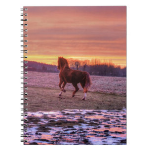 Stallion Runhome vid Sunset på Ranch Anteckningsbok