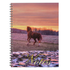 Stallion Runhome vid Sunset på Ranch Anteckningsbok Med Spiral