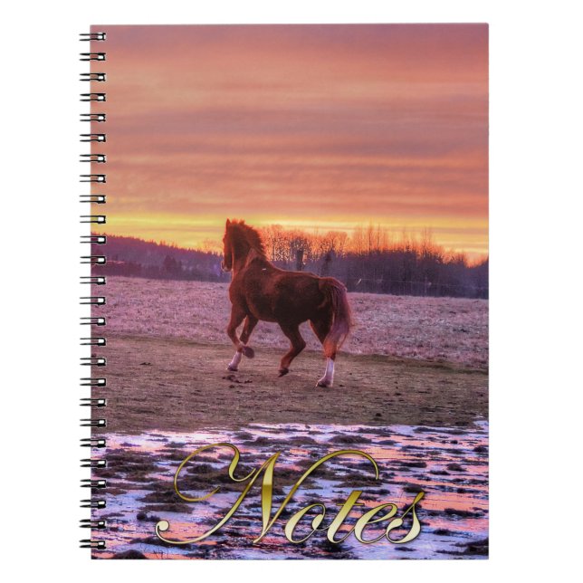 Stallion Runhome vid Sunset på Ranch Anteckningsbok Med Spiral (Framsidan)