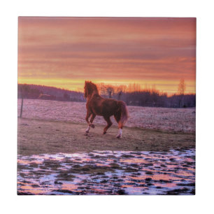 Stallion Runhome vid Sunset på Ranch Kakelplatta