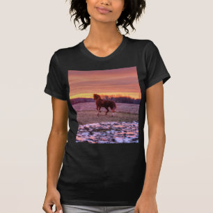 Stallion Runhome vid Sunset på Ranch Tee