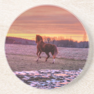 Stallion Runhome vid Sunset på Ranch Underlägg Sandsten