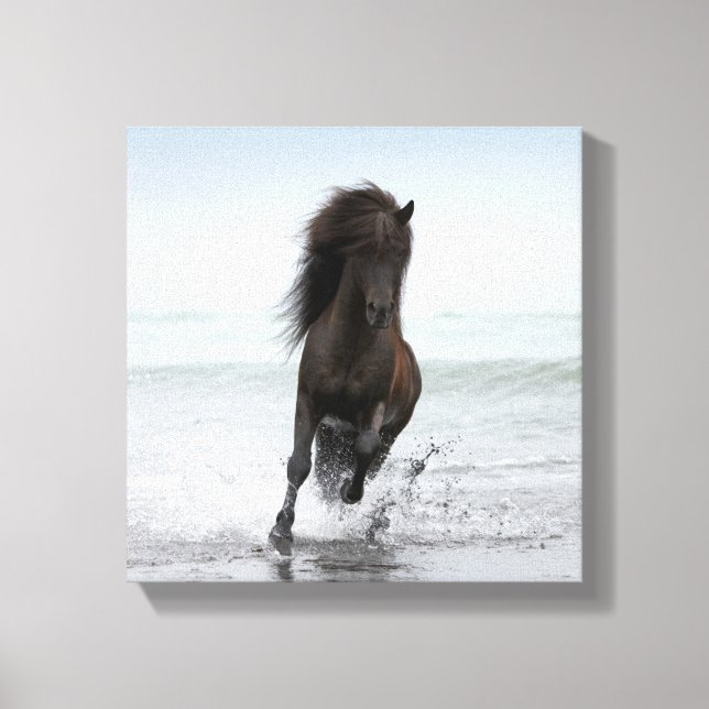 Stallion som körs på båge | Nordatlanten Canvastryck (Framsida)