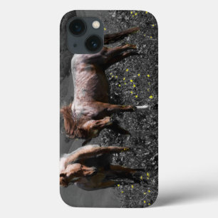 Stallion Spar