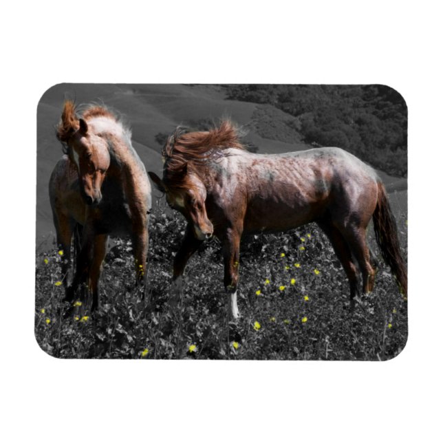 Stallion Spar Magnet (Horisontell)