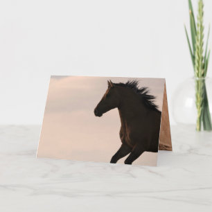 Stallion Springa vid Sunrise Vild Horse Greeting C Kort