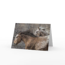 Stallioner för Vild: Galloping to Freedom Greeting