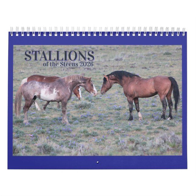 "Stallions" MustangWild 2026 Calendar Kalender (Omslag)