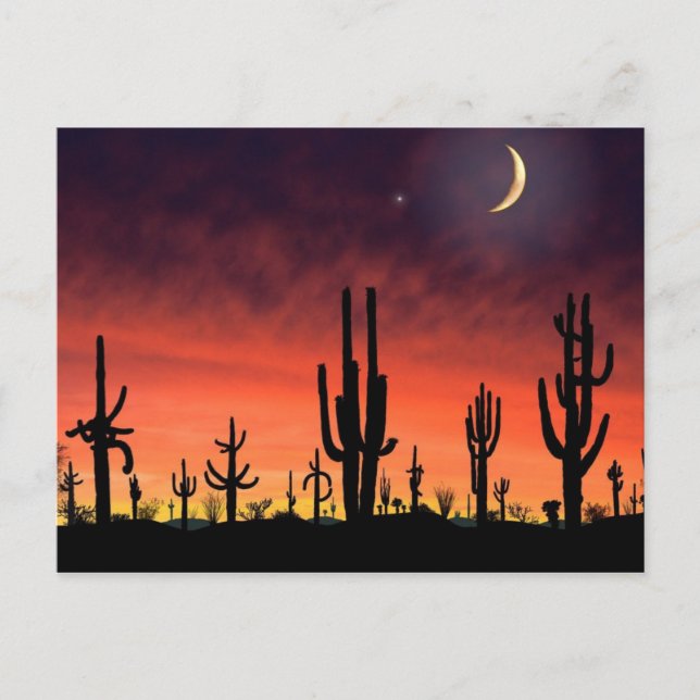 Ställtråd_ Vykort (Framsida)