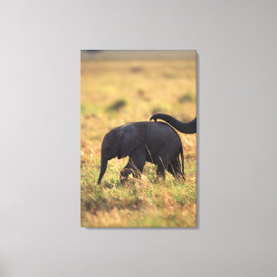 Stam av rörs avkommor för elefant, Kenya, Canvastryck