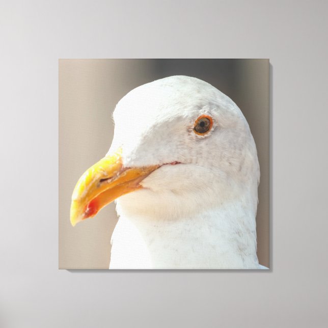 Stam Canvastryck (Framsida)