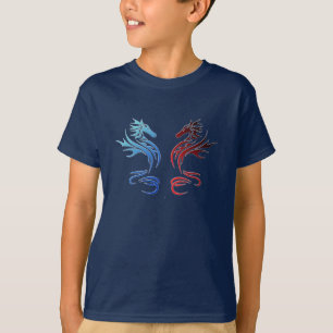 Stam- drakar tee shirt
