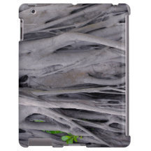 Stam för Banyanträd