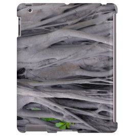 Stam för Banyanträd