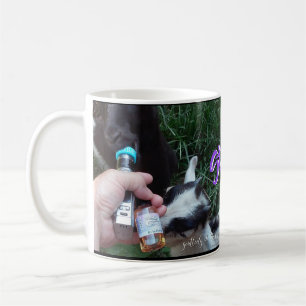 stam kaffemugg