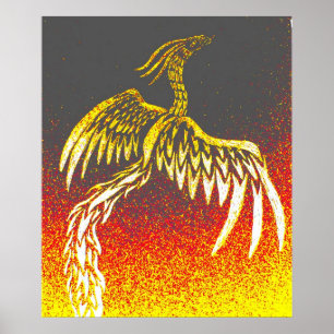 Stam- Phoenix Poster