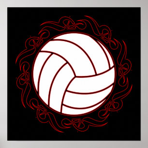 stam- volleyboll poster