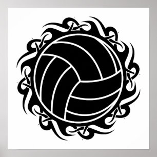 stam- volleyboll poster