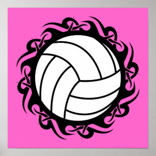 stam- volleyboll poster