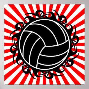 stam- volleyboll poster