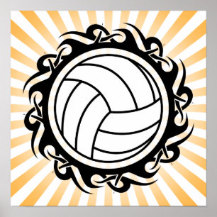 stam- volleyboll poster