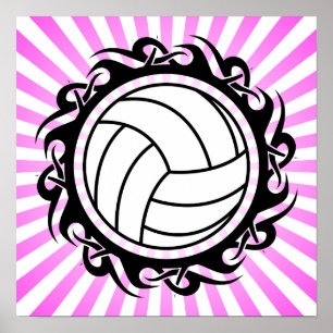 stam- volleyboll poster