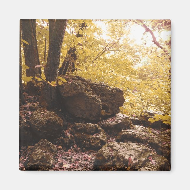 Stambalpark iowa magnet (Framsidan)