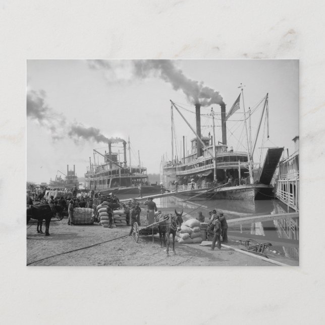 Stambåtar i Vicksburg 1910 Vykort (Framsida)