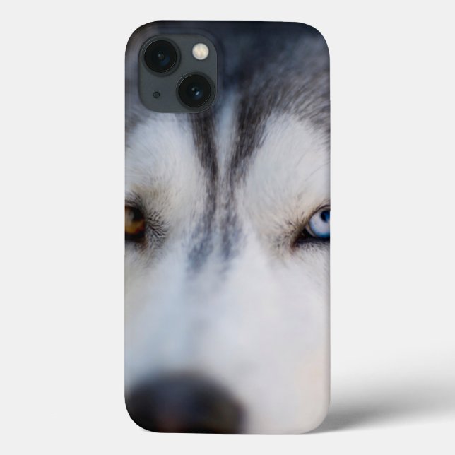 Stambok för ett alkaliskt malamute (Baksida)