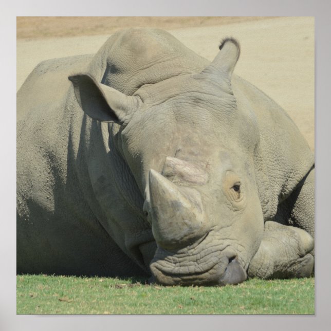 Stamchef Poster (Framsidan)