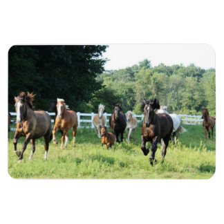 Stamen och Herdmaster Magnet