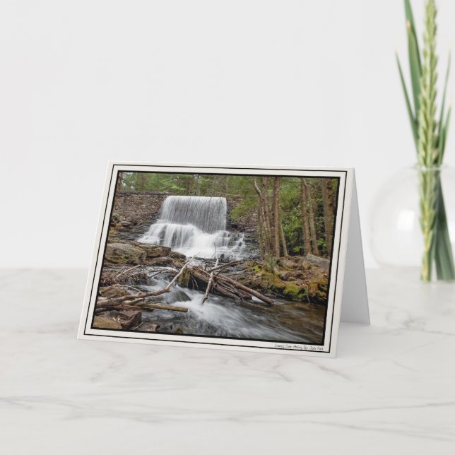 Stametz Dam Kort (Framsida)