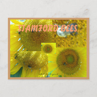 STAMFORD CT BES VYKORT