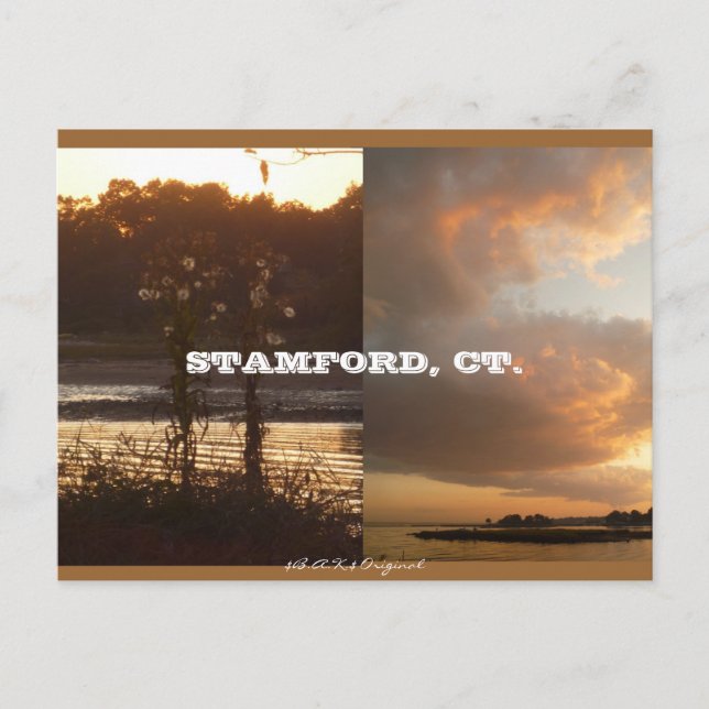 Stamford, CT Fall 2009 Vykort (Framsida)