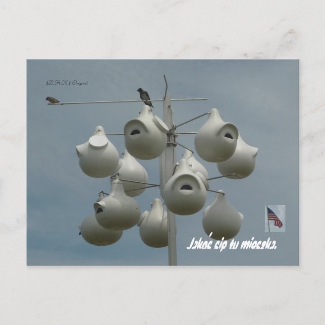 Stamford Ct-vykort Vykort (Framsida)