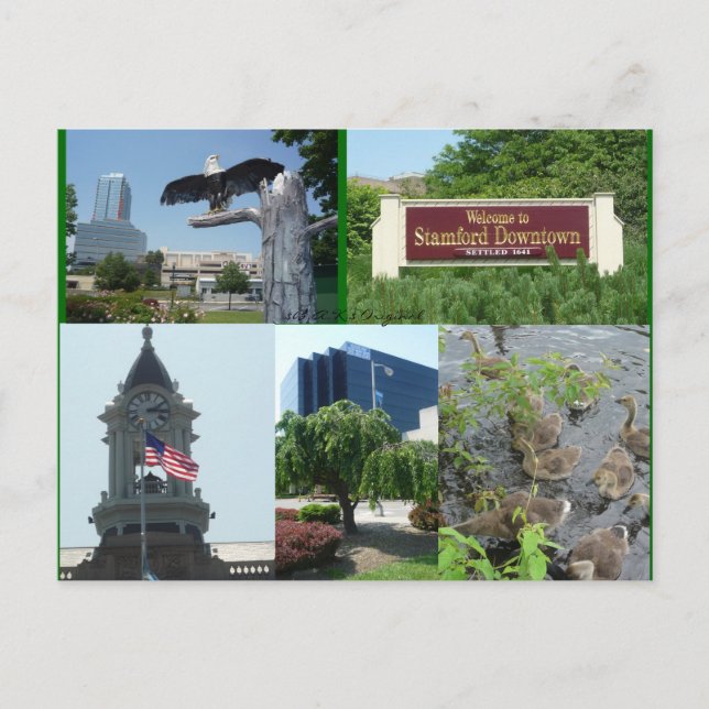 Stamford Downtown Center Postcard Vykort (Framsida)