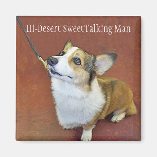 Stämmer ut magnet med text