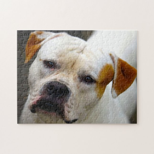 Stamtavla Bulldog. Pussel (Horisontell)
