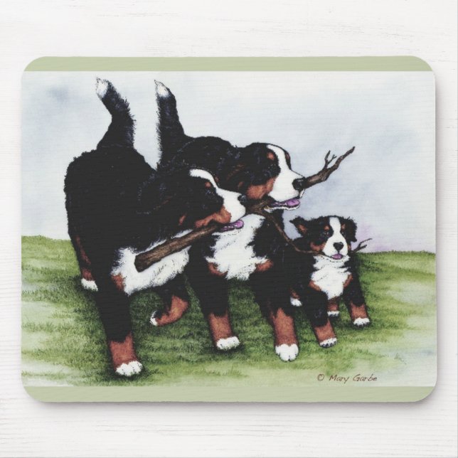 Stamträd Musmatta (Framsidan)