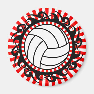 stamvolleyboll magnet
