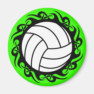 stamvolleyboll magnet