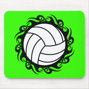 stamvolleyboll musmatta