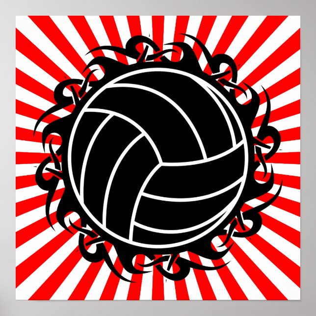 stamvolleyboll poster (Framsidan)