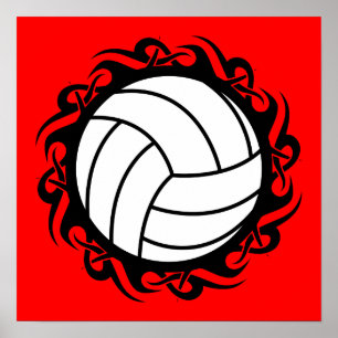 stamvolleyboll poster